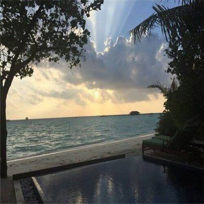 我在修真界修仙游戏下载